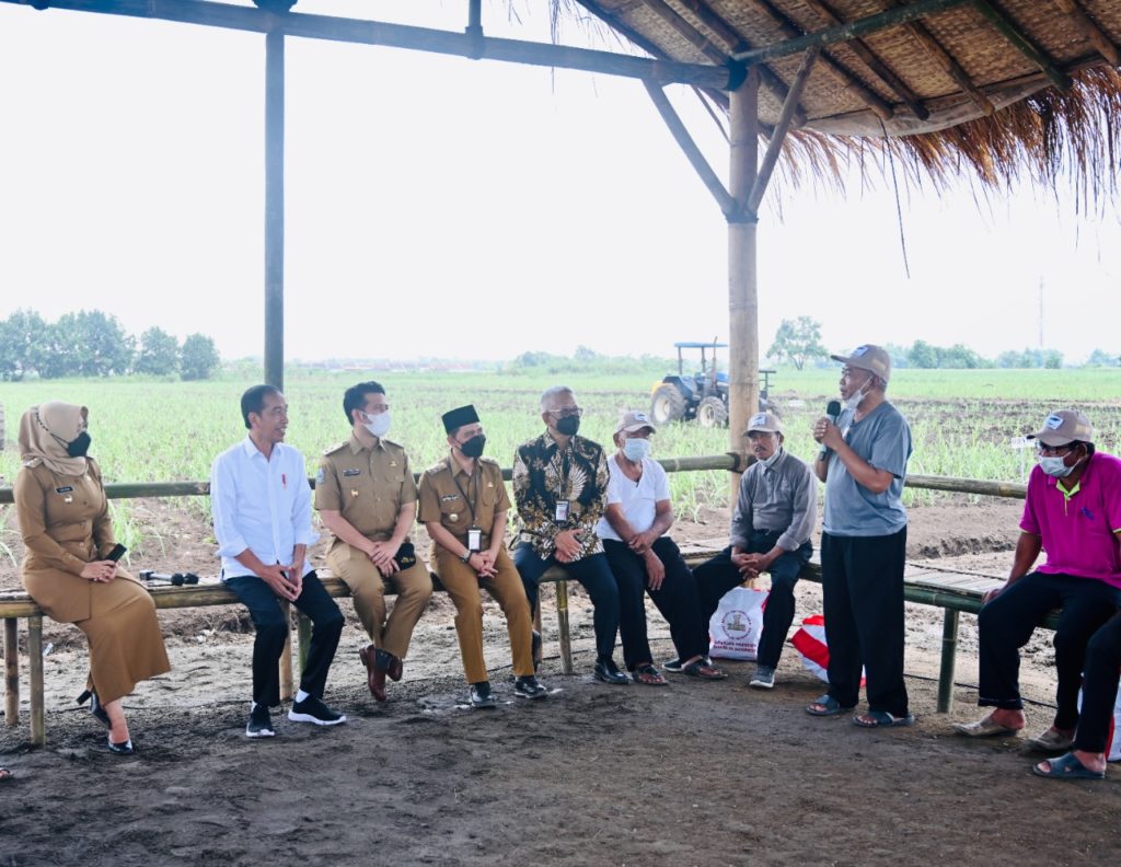 Dorong Produksi Gula Meningkat Pemerintah Siapkan Lahan Seluas