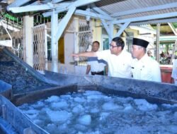 Kemarin Sempat Heboh di Dunia Maya Soal Anak SD di Ds. Kuala Dua Belas OKI Berenang Gunakan Styrofoam di Sungai, Tapi Siapa Sangka Kalo’ Warganya Cukup Makmur, Simak Cerita Seorang Warga Desa Itu, Punya Gaji Puluhan Juta Hingga Rumah Mewah di Jakarta, Bikin Kamu Pasti Salut !