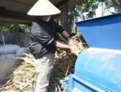 Bisa Jadi Contoh Milanium, Bertanam Itu Gak Perlu Punya Lahan Yang Luas, Tapi Lihatlah Di Demplot Ketahanan Pangan Pertanian Kodim 0406 Lubuklinggau Ini, Gubernur Singgah, Saking Pedenya Sebut Kian Mantapkan Sumsel Jadi Daerah Mandiri Pangan, Begini Wejangannya…