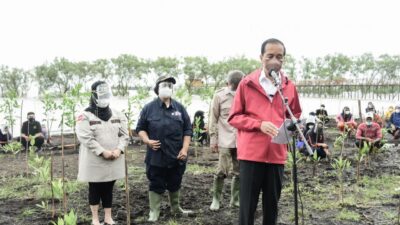 Komit dengan Paris 2021 Agreement & Perubahan Iklim Dunia, RI Bakal Rehabilitasi Hutan Mangrove di Seluruh Tanah Air, Begini Asa Presiden Joko Widodo