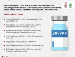 Wajib Ente Ketahui, BPOM Terbitkan Izin Penggunaan Darurat untuk Vaksin Zifivax