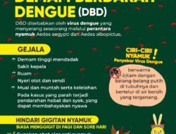 Jangan Dianggap Sepele, Harus Waspada ! DBD Selalu Mengintai di Musim Hujan Ada Potensi KLB Tinggi, Perlu Gotong Royong agar Lingkungan Tetap Bersih