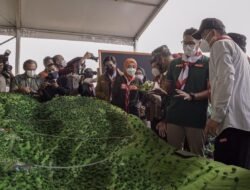 Digadang Jembatan Gantung Ini Terpanjang di Dunia Bahkan Mengalahkan Arouca Portugal & Carles Kuonen Pegunungan Alpen Swiss, Ekowisata Eiger Adventure Land Siap Dibangun di Bogor