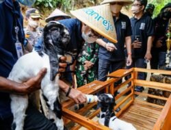Pontensi Wisata Pandanrejo Dinilai Sangat Menarik, Perlu Promo di Konten Digital, Kemenparekraf : Wisata Edukasi Kambing Etawa Kaligesing Bisa Jadi Andalan