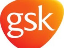 Studi Akademi Tunjukkan Peningkatan Hubungan Antara Kesehatan Oral yang Buruk & Penyakit Sistemis, Responden RI Soroti Kesadaran Publik Rendah