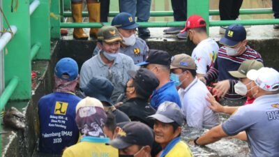 Turun Lagi ke Anak Sungai, Galakan 2 G