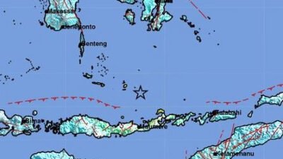 Dampak Gempa Flores Timur NTT M7,4, 230 Rumah di Kabupaten Selayar, Sulsel