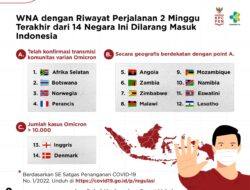 Cegah Omicron, WNA dari 14 Negara Ini Dilarang Masuk Indonesia