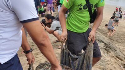 Lepasliarkan  Puluhan Ekor Penyu di Pantai Kuta