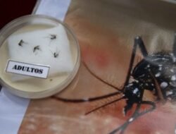 Waspada Akan Peralihan Musim, Covid Masih Berlangsung, DBD Menyerang