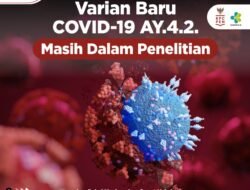 Lonjakan Omicron, Jalur Tradisional Perbatasan Indonesia – Papua Ditutup