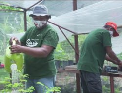 Oh.. Ternyata Bisa Berinovasi Soal Ini Subholding Upstream Pertamina Diganjar Proper Hijau