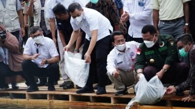 KKP- FAO Tebar Puluhan Ribu Ikan Tangkapan di Sungai Sangolan Kampar