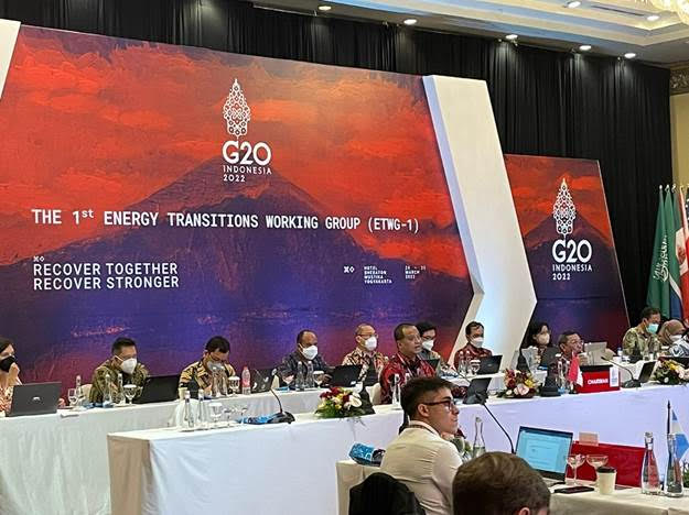 Task Force Energy, Sustainability & Climate B20 Dukung Transisi Energi ...