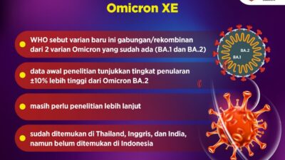 Omicron XE Ini Yang Perlu Kita Ketahui tentang Varian Terbaru COVID-19