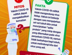 MITOS: Vaksin COVID-19 mRNA dapat mengakibatkan kematian, Faktanya …