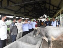 Mendekati Idul Adha, pedagang hewan ternak di Pasar terbesar OKI ini dikasih wejangan soal ini  