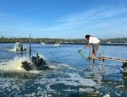 PT PLN Jamin Pasokan Listrik Untuk Tambak Singkawang