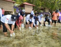 Kalo’mau jaga ekologi Laut itu harus banyak –banyak tebar benih ikan betul nggak !, seperti dilakukan KKP diperairan Maluku, ribuan benih ikan hias nemo ditebar, ini keuntungannya..