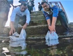 Dukung kekayaan laut Wakatobi, 30 varian ikan nemo berhasil dibudidayakan