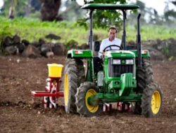 Jaga Stabilitas Harga,  Ketersediaan Pangan Lokal Sebagai  Upaya Atasi Krisis