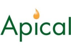 Apical memenangkan penghargaan tertinggi dalam ‘penggunaan lahan & keanekaragaman hayati’ dan ‘pengelolaan pemangku kepentingan’