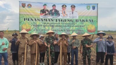 Sulap lahan rawan karhutlah jadi ladang jagung