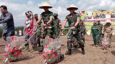 Dukung Ketahanan Pangan, 98 Hektare Lahan Jagung di Sumsel Siap Ditanam