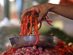 Beras dan Minyak Goreng Stabil, Harga Cabai Masih Terasa Pedas