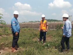 Sulap lahan eks tambang jadi lahan hijau, hasilnya ?