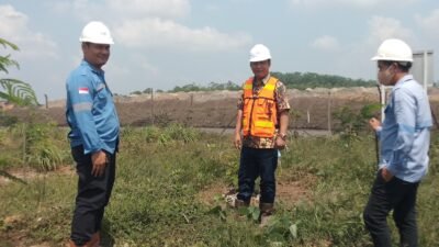 Sulap lahan eks tambang jadi lahan hijau, hasilnya ?