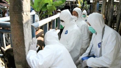 Dari Lombok, melihat aksi BNPB terkait PMK