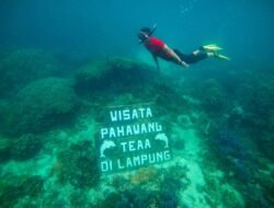 Wisata Lampung Semakin Bergairah,  Pulau Pahawang Dilirik Menteri Pariwisata