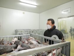 Resmikan Cold Storage 300 Ton, Menteri KKP Targetkan Indramayu Jadi Sentra Perikanan