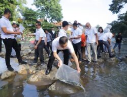 Lepasliarkan 50.000 Ekor Ikan di Kali Ciliwung