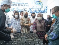 Kembangkan Ekonomi Rakyat,  Koperasi Binaan KKP Produksi Ikan Kaleng Citarasa Nusantara