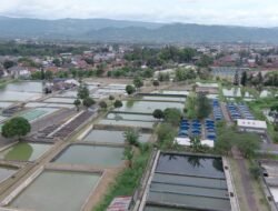 Cara KKP Sukseskan Program Ekonomi Biru