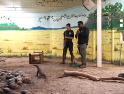 Gandeng San Francisco Zoo and Gardens untuk Pulihkan Sektor Pariwisata, Komit RI  Lestarikan Komodo & Orang Utan 