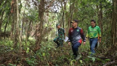 Daerah Ini Bakal Sulap Hutan Kota jadi Wahan Outbond