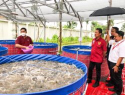 Yuk, Mahasiswa Ternak Lele dengan Sistem Bioflok