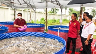 Yuk, Mahasiswa Ternak Lele dengan Sistem Bioflok