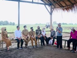 Dorong Produksi Gula Meningkat, Pemerintah Siapkan Lahan Seluas 700 Ribu Ha