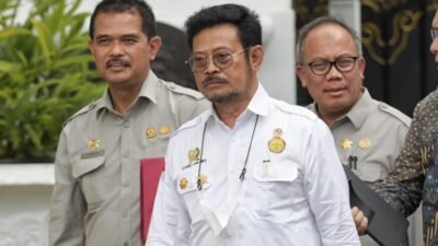 Persediaan Pangan Harus Selalu Cukup, Presiden Minta Menteri Pertanian Cek Stok Beras Nasional