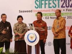 Pontensi Cukup Besar, KKP Ajak Investor Garap Potensi Industri Pengolahan Rumput Laut di Indonesia