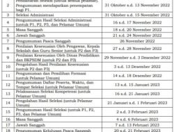 Ente Berminat ! Ada Lowongan PPPK Tenaga Guru Resmi Dibuka Pemerintah