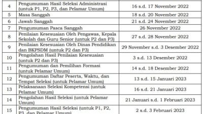 Ente Berminat ! Ada Lowongan PPPK Tenaga Guru Resmi Dibuka Pemerintah