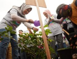 Peringati Hari Sejuta Pohon, Perwosi  Sumsel Tanam Pohon Di Sempajang Jalan Kawasan Jembatan Musi VI Palembang   