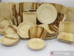 Ini Karya Anak Jambi, Terbuat Dari Pelepah Pinang Piring Ramah Lingkungan