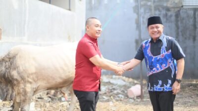 Sambut Hari Raya Idul Adha, Gubernur Serahkan Sapi Kurban