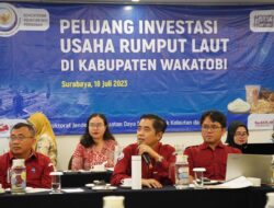Bisa jadi “champion”, KKP dorong masuknya investasi industri pengolahan rumput laut di Wakatobi